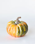 5" x 5.5" Faux Green/Orange Pumpkin