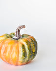 5" x 5.5" Faux Green/Orange Pumpkin