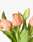11.75" Faux Real Touch Orange Sorbet Tulip Stem Bundle