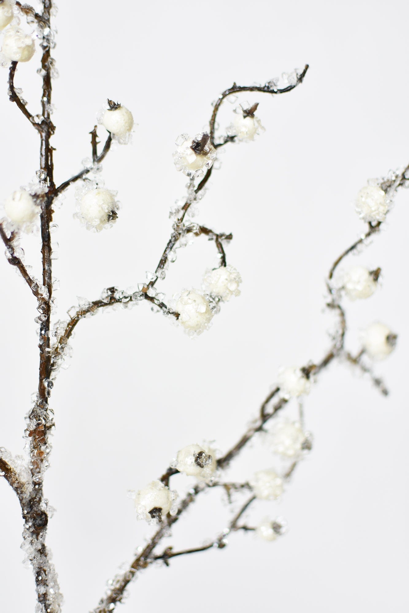 Faux Berry Spray - Winter White (3 Stems) – contempee
