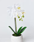 14" Faux Potted Orchid White