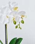 14" Faux Potted Orchid White