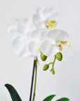 14" Faux Potted Orchid White