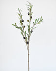 39" Faux Green Olive Stem