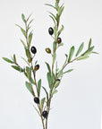 39" Faux Green Olive Stem
