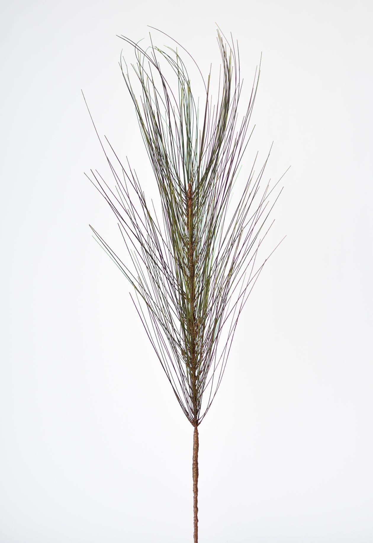 Green Long Needle Pine Spray - 30 | Greenery Gal