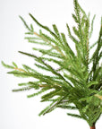 20" Faux Green Norfolk Pine Bush