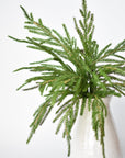 20" Faux Green Norfolk Pine Bush