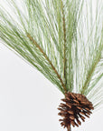 21” Long Needle Pine Spray