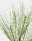 21” Long Needle Pine Spray