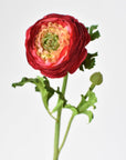 13" Faux Red Ranunculus Stem