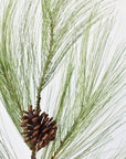 21” Long Needle Pine Spray