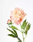 28" Faux Peach Peony Stem