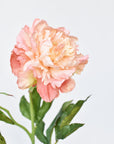 28" Faux Peach Peony Stem