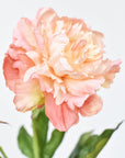 28" Faux Peach Peony Stem