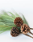 21” Long Needle Pine Spray