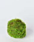 Mossy Orbs/Balls