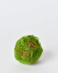 Mossy Orbs/Balls