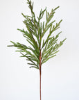 36" Faux Green Norfolk Pine - Cypress Spray Stem