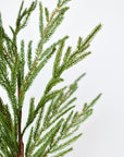 36" Faux Green Norfolk Pine - Cypress Spray Stem