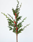 24" Faux Cedar Spray w/ Red Berry Stem