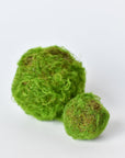 Mossy Orbs/Balls