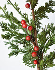 24" Faux Cedar Spray w/ Red Berry Stem