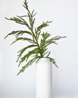 36" Faux Green Norfolk Pine - Cypress Spray Stem