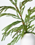36" Faux Green Norfolk Pine - Cypress Spray Stem