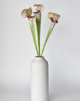28" Faux Green/Burgundy Pitcher Plant Stem