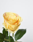 22" Faux Large Rose Bud Stem Yellow