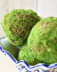 Mossy Orbs/Balls