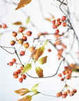 38" Faux Orange Berry Branch Stem
