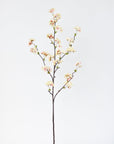 36" Faux Quince Blossom Apricot Cream Stem Flowering Branch