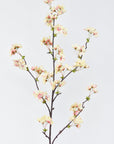 36" Faux Quince Blossom Apricot Cream Stem Flowering Branch