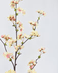36" Faux Quince Blossom Apricot Cream Stem Flowering Branch