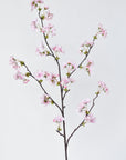 36" Faux Quince Blossom Pink Stem Flowering Branch