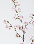 36" Faux Quince Blossom Pink Stem Flowering Branch