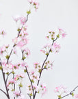 36" Faux Quince Blossom Pink Stem Flowering Branch