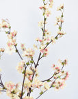 36" Faux Quince Blossom Apricot Cream Stem Flowering Branch