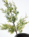 18" Faux Juniper Berry Greenery Stem