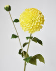 31" Faux Dahlia Stem Yellow Red