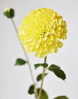 31" Faux Dahlia Stem Yellow Red