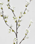 36" Faux Quince Blossom Cream / White Stem Flowering Branch
