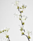 36" Faux Quince Blossom Cream / White Stem Flowering Branch