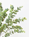 27" Faux Green Eucalyptus Bundle