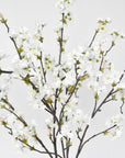 36" Faux Quince Blossom Cream / White Stem Flowering Branch