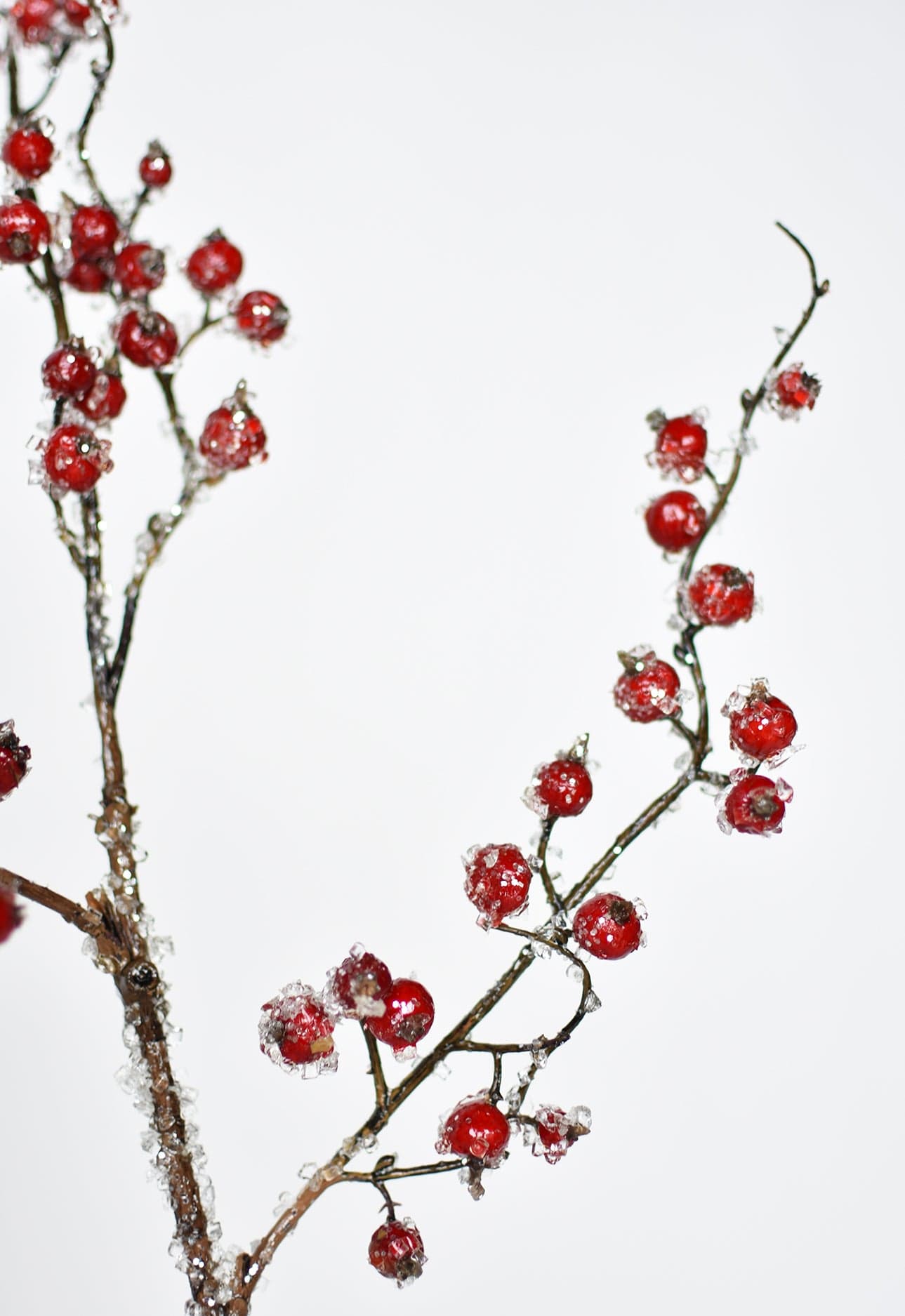 Faux Hawthorn Berry Stem - Red