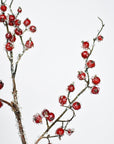 29" Faux Iced Red Berry Stem