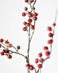 29" Faux Iced Red Berry Stem